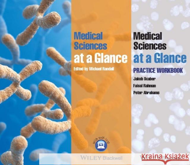 Medical Sciences at a Glance Text and Workbook Randall, Michael D.; Scaber, Jakub; Rahman, Faisal 9781118892640 John Wiley & Sons