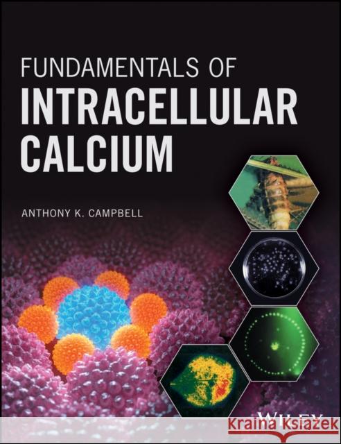 Fundamentals of Intracellular Calcium Campbell, Anthony K. 9781118941874