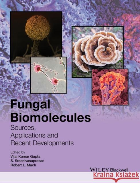 Fungal Biomolecules: Sources, Applications and Recent Developments Gupta, Vijai Kumar 9781118958292