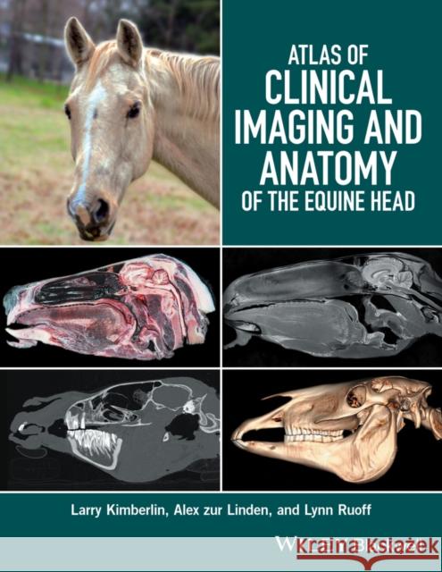 Atlas of Clinical Imaging and Anatomy of the Equine Head Larry Kimberlin Alex Zu Lynn Ruoff 9781118988978 Wiley-Blackwell