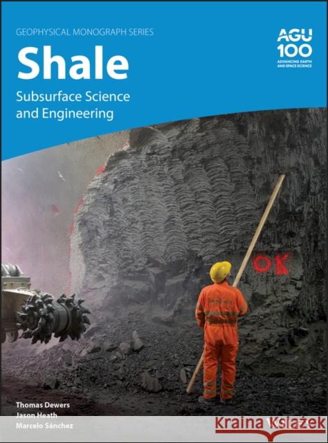 Shale: Subsurface Science and Engineering Dewers, Thomas 9781119066682 American Geophysical Union