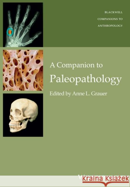 Companion to Paleopathology Ni Grauer, Anne L. 9781119111634