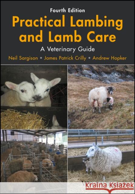 Practical Lambing and Lamb Care: A Veterinary Guide Sargison, Neil 9781119140665 John Wiley and Sons Ltd