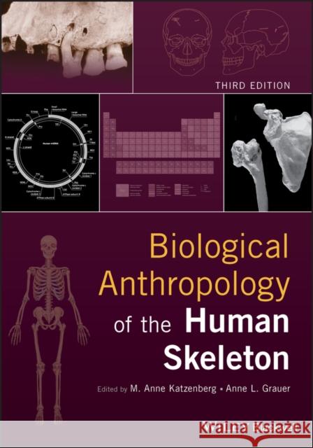 Biological Anthropology of the Human Skeleton M. Anne Katzenberg Anne L. Grauer 9781119151616 Wiley-Blackwell