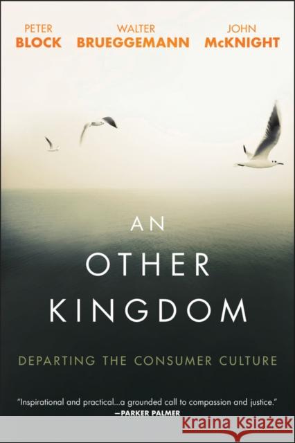 An Other Kingdom: Departing the Consumer Culture Block, Peter 9781119194729