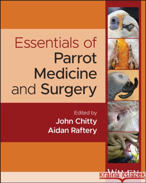 Essentials of Parrot Medicine John Chitty Aidan Raftery  9781119290117