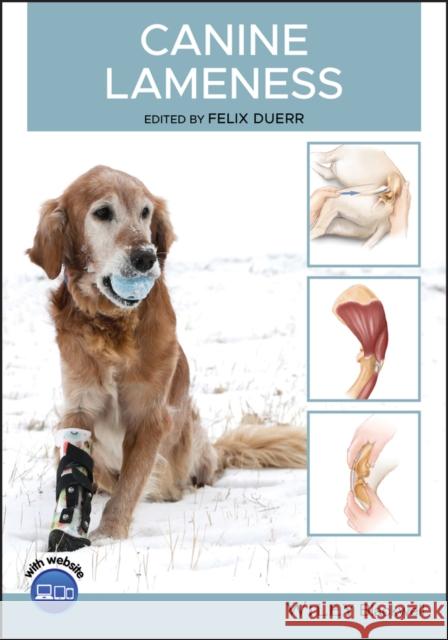 Canine Lameness Felix Duerr 9781119474029 Wiley-Blackwell