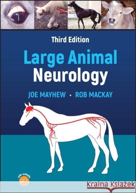 Large Animal Neurology Rob MacKay 9781119477037 Wiley
