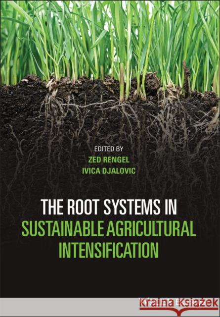 The Root Systems in Sustainable Agricultural Intensification Rengel, Zed 9781119525400