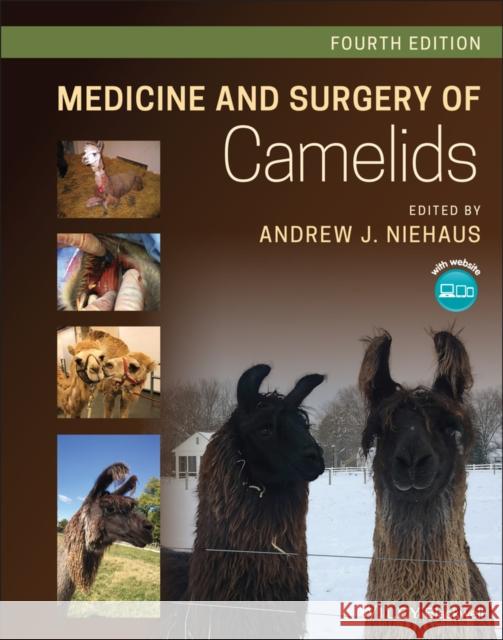 Medicine and Surgery of Camelids  9781119583240 John Wiley and Sons Ltd