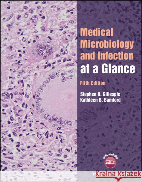 Medical Microbiology and Infection at a Glance Stephen Gillespie Kathleen Bamford 9781119592167 John Wiley and Sons Ltd