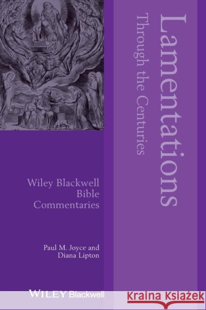 Lamentations Through the Centuries Paul M. Joyce Diana Lipton David M. Gunn 9781119673873