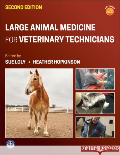 Large Animal Medicine for Veterinary Technicians Sue Loly Heather Hopkinson 9781119688266 Wiley-Blackwell