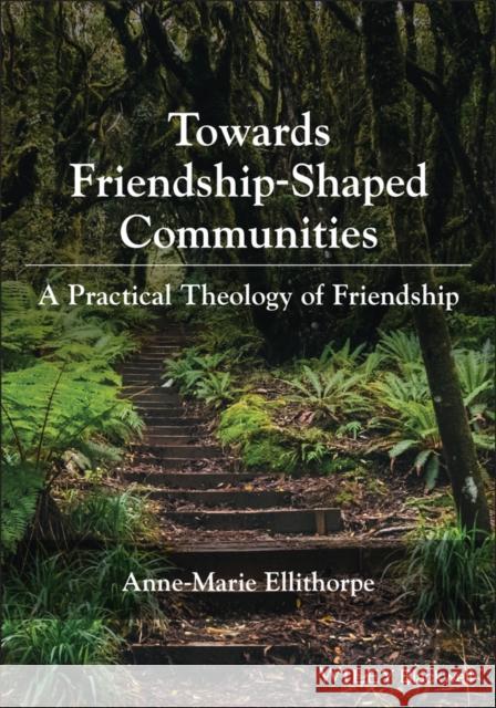 Practical Theology of Friendship Anne-Marie Ellithorpe 9781119756941