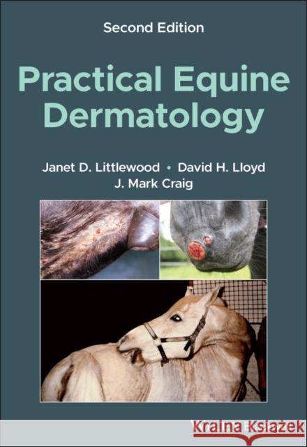 Practical Equine Dermatology Janet Littlewood David Lloyd 9781119765486 Wiley-Blackwell