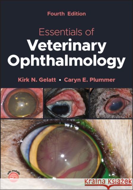 Essentials of Veterinary Ophthalmology Caryn E. (University of Florida) Plummer 9781119801320 