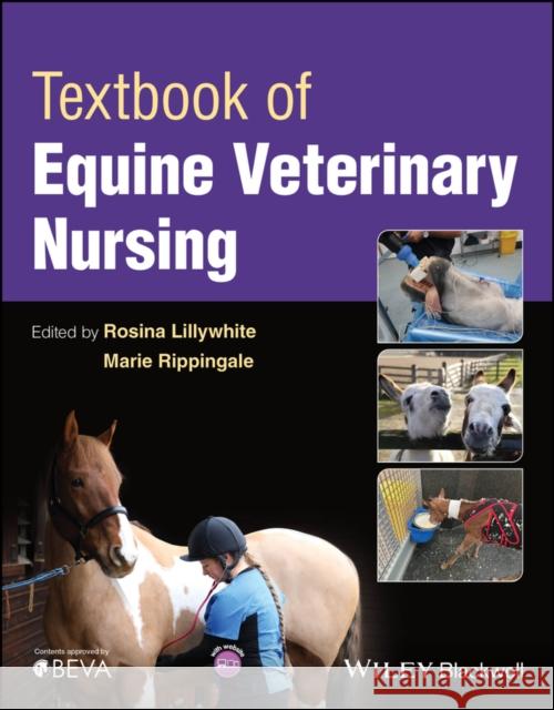 Textbook of Equine Veterinary Nursing  9781119861942 