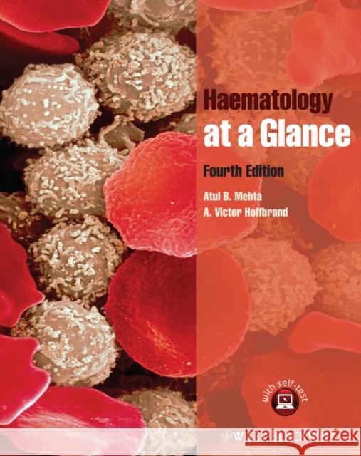 Haematology at a Glance Atul Mehta 9781119969228