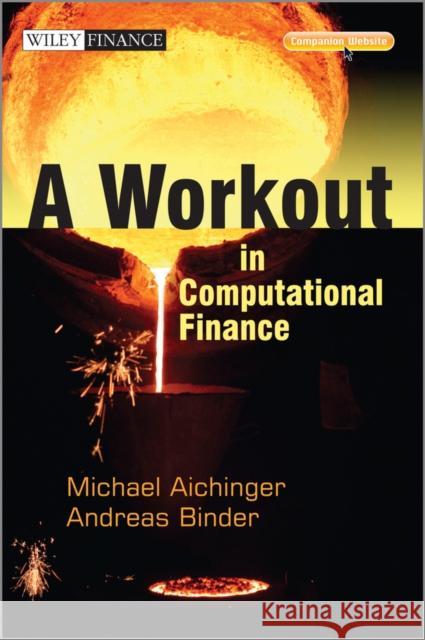 A Workout in Computational Finance Binder, Andreas 9781119971917 0