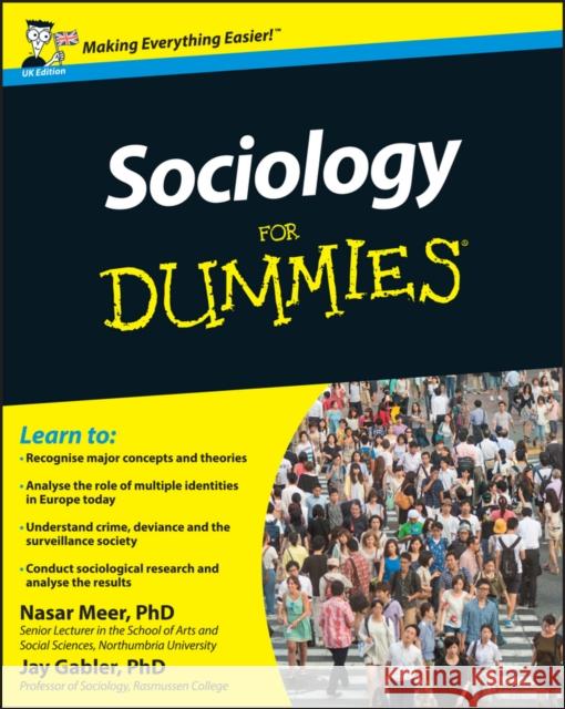 Sociology for Dummies Meer, Nasar 9781119991342