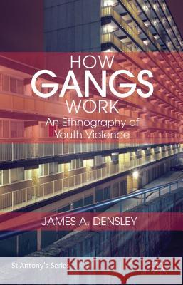 How Gangs Work: An Ethnography of Youth Violence Densley, J. 9781137271501 Palgrave MacMillan
