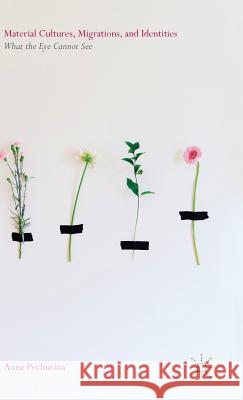 Material Cultures, Migrations, and Identities: What the Eye Cannot See Pechurina, Anna 9781137321770 Palgrave MacMillan