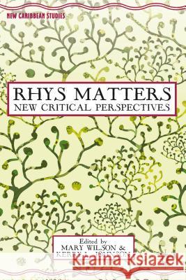 Rhys Matters: New Critical Perspectives Wilson, M. 9781137327901 0