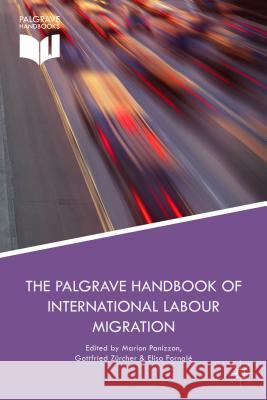 The Palgrave Handbook of International Labour Migration: Law and Policy Perspectives Panizzon, M. 9781137352200 Palgrave MacMillan
