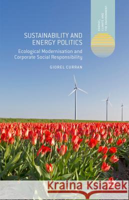Sustainability and Energy Politics: The Promises of Ecological Modernisation and Corporate Social Responsibility Curran, Giorel 9781137352323 Palgrave MacMillan