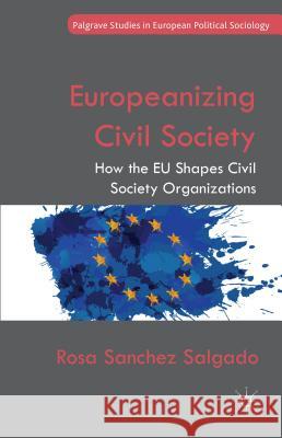 Europeanizing Civil Society: How the Eu Shapes Civil Society Organizations Sanchez Salgado, Rosa 9781137355409 Palgrave MacMillan