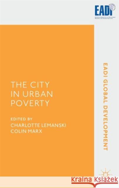 The City in Urban Poverty Charlotte Lemanski Colin Marx 9781137367426 Palgrave MacMillan