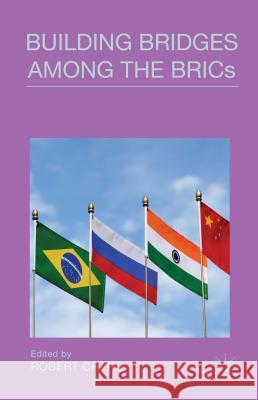 Building Bridges Among the Brics Crane, Robert 9781137375384