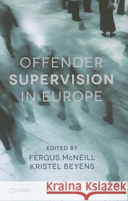 Offender Supervision in Europe Fergus McNeill Kristel Beyens 9781137379184 Palgrave MacMillan