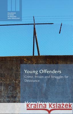 Young Offenders: Crime, Prison and Struggles for Desistance Mark Halsey Simone Deegan 9781137411211