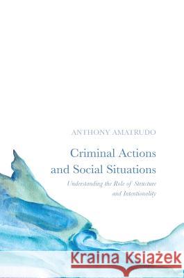 Criminal Actions and Social Situations: Understanding the Role of Structure and Intentionality Amatrudo, Anthony 9781137457301