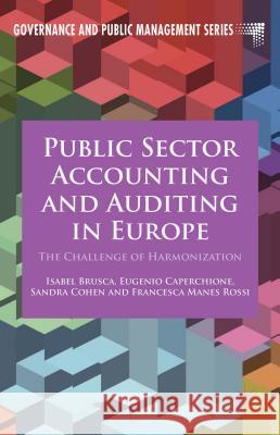 Public Sector Accounting and Auditing in Europe: The Challenge of Harmonization Brusca, I. 9781137461339 Palgrave MacMillan
