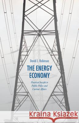 The Energy Economy: Practical Insight to Public Policy and Current Affairs Robinson, David J. 9781137471697 Palgrave MacMillan
