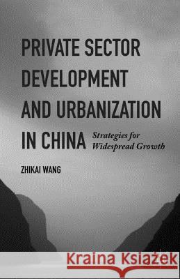 Private Sector Development and Urbanization in China: Strategies for Widespread Growth Wang, Zhikai 9781137473264 Palgrave MacMillan