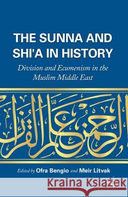 The Sunna and Shi'a in History: Division and Ecumenism in the Muslim Middle East Bengio, O. 9781137485588 Palgrave MacMillan