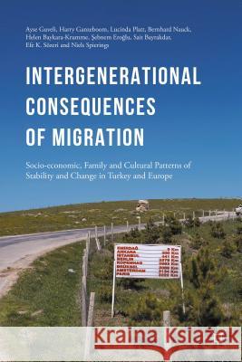 Intergenerational Consequences of Migration: Socio-Economic, Family and Cultural Patterns of Stability and Change in Turkey and Europe Guveli, Ayse 9781137501417 Palgrave MacMillan