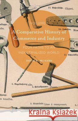 A Comparative History of Commerce and Industry, Volume I: Four Paths to an Industrialized World McNabb, David E. 9781137503251 Palgrave MacMillan