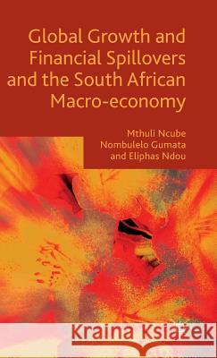 Global Growth and Financial Spillovers and the South African Macro-Economy Ncube, Mthuli 9781137512956 Palgrave MacMillan