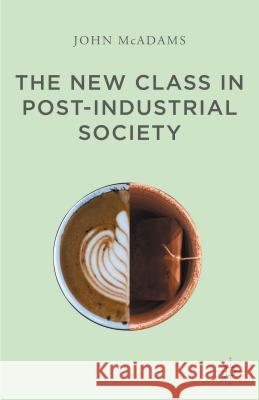 The New Class in Post-Industrial Society John McAdams 9781137515407