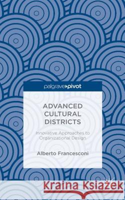 Advanced Cultural Districts: Innovative Approaches to Organizational Designs Francesconi, Alberto 9781137555342 Palgrave MacMillan