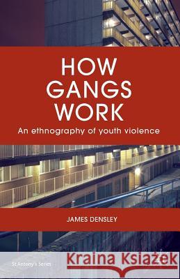 How Gangs Work: An Ethnography of Youth Violence Densley, J. 9781137572936 Palgrave MacMillan