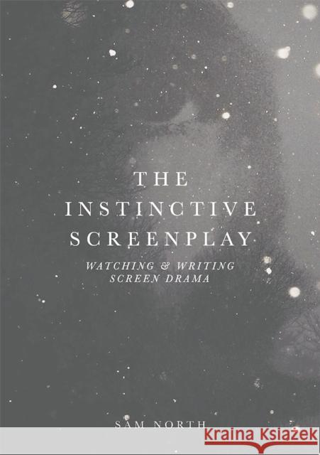 The Instinctive Screenplay: Watching and Writing Screen Drama Sam North 9781137607492 Palgrave