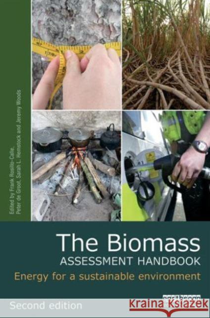 The Biomass Assessment Handbook: Energy for a Sustainable Environment Frank Rosillo-Calle Peter De Groot Sarah L. Hemstock 9781138019652