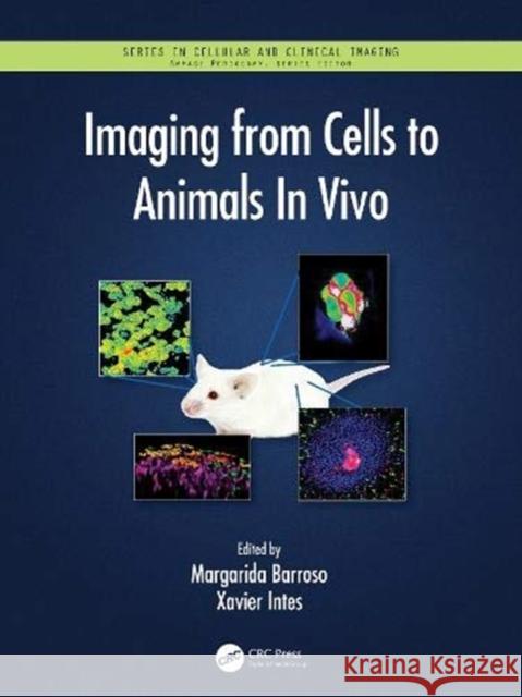 Imaging from Cells to Animals in Vivo Margarida Barroso Xavier Intes 9781138041097 CRC Press