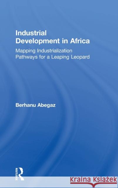 Industrial Development in Africa: Mapping Industrialization Pathways for a Leaping Leopard Berhanu Abegaz 9781138059702 Routledge