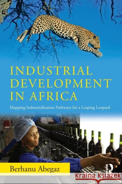 Industrial Development in Africa: Mapping Industrialization Pathways for a Leaping Leopard Berhanu Abegaz 9781138059719 Routledge
